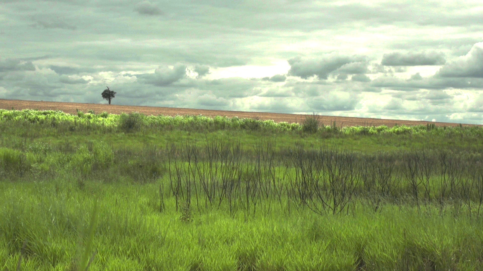 fotograma_FUERA_DE_CAMPO