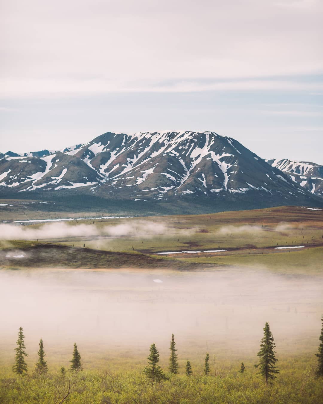 📷 Nitish Meena
📍 Denali National Park 🇺🇸
✒️ 'Colores de Alaska', por Nitish Meena
«A medida que nuestro recorrido avanza, aparecen en nuestras miradas nuevas escenas, presentadas con un delicado y mágico movimiento. El ojo se ve llamado por la silueta de las montañas situadas ahí a lo lejos, limitadas en ambos costados por tierras de una variedad fascinante: una tras otra se vuelven más débiles y etéreas a medida que ganan distancia respecto nuestro autobús.»